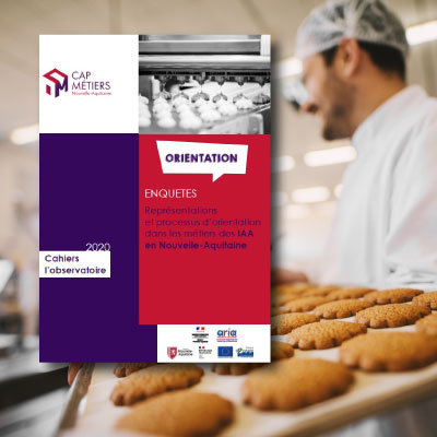 Représentations et processus d'orientation dans les métiers des industries agroalimentaires