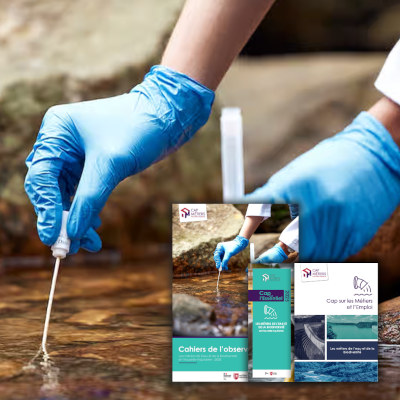 Diagnostic emploi-formation sur les métiers de l’Eau et de la Biodiversité