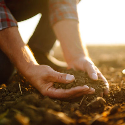 Loi d’orientation agricole : les leviers de la formation