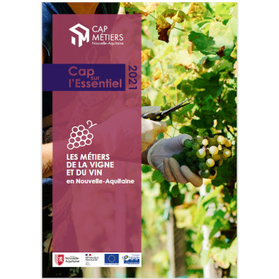 Métiers de la vigne et du vin : une offre de formation diversifiée en Nouvelle-Aquitaine