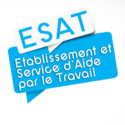 Transformation des établissements et services d’aide par le travail (ESAT)