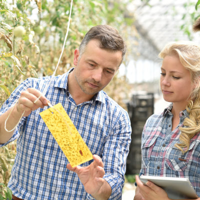 Cadre d'intervention et de rémunération des formateurs occasionnels du ministère de l’Agriculture
