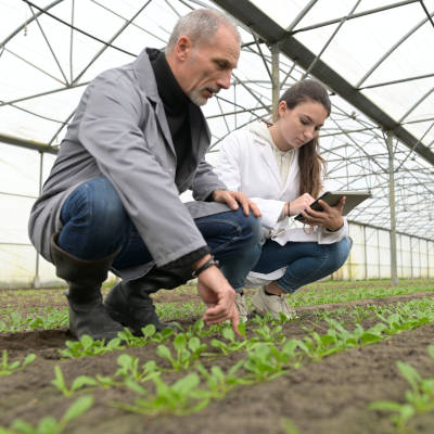 Formation initiale de certains personnels enseignants et d'éducation relevant du ministère de l'agriculture