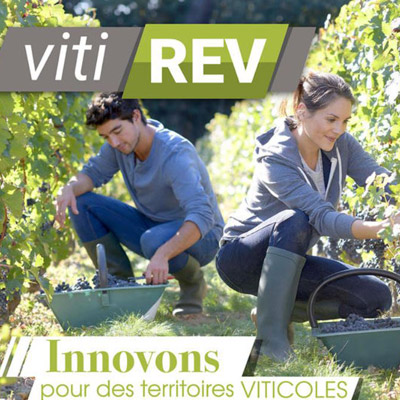 Développer la viticulture de demain en Nouvelle-Aquitaine